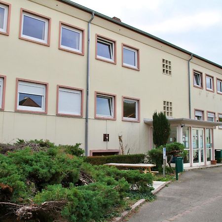 Auberge De Jeunesse Colmar Dış mekan fotoğraf